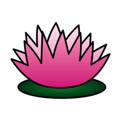 lotus flower decoration