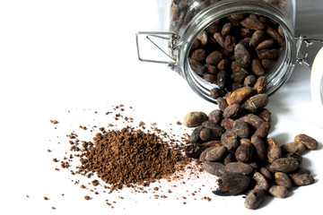 cacao beans on white backgroud