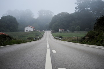 Fototapeta na wymiar One road in the fog