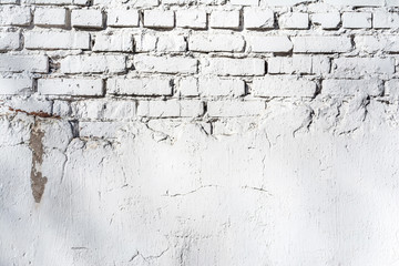 texture of old white brick wall with destroyed plaster layer and shadows from trees, architecture abstract background