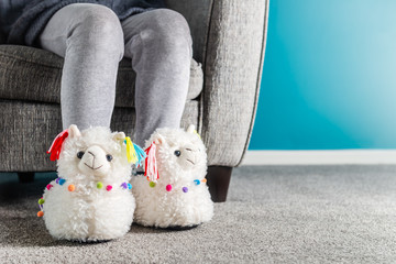 Young girl is wearing cute soft 3d llama slippers