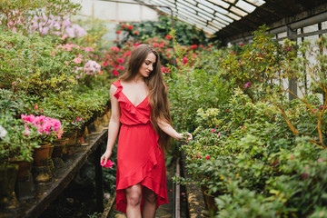Young beautiful caucasian woman in glass greenhouse among colorful azalea flowers. Art portrait of...