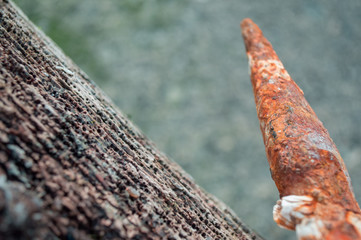 driftwood and rust