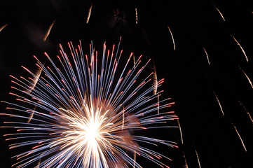 Fireworks 41