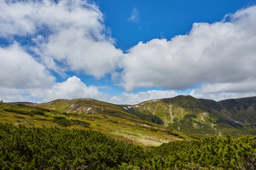 Summer landscape in mountains and the dark blue sky