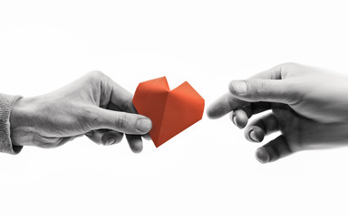 Red heart in woman and man hands. Black and white image on isolated white background. Concept of...