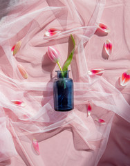 Tulips and glass botlle on pink tulle