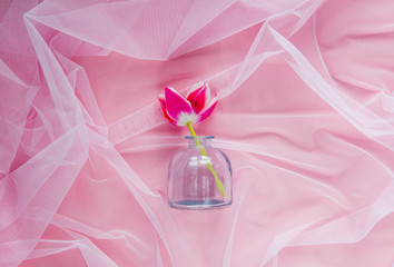 Tulip and glass botlle on pink tulle