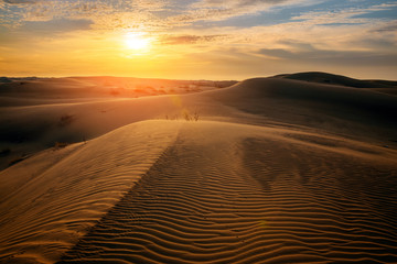 Beautiful sunset in sand dunes over desert