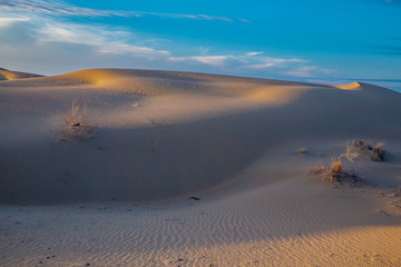 Sand dunes desert landscape