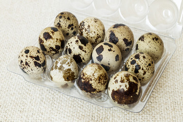 Twelve spotted quail eggs in a transparent plastic packaging. A dozen raw quail eggs on a beige textile background. Organic farmer food ingredient