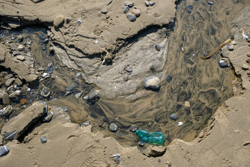 Plastic garbage water sea ecosystem pollution in italy 