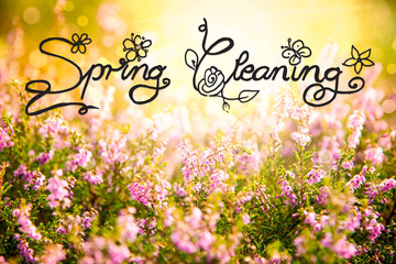 Sunny Erica Flower Field, Calligraphy Spring Cleaning