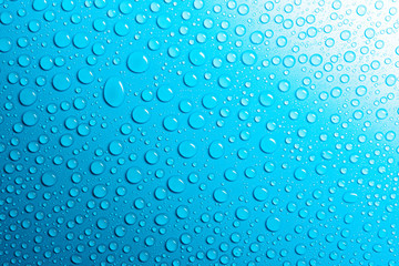 Droplets of water on a blue, matte background illuminated with a delicate light.