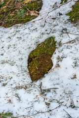 melt snow