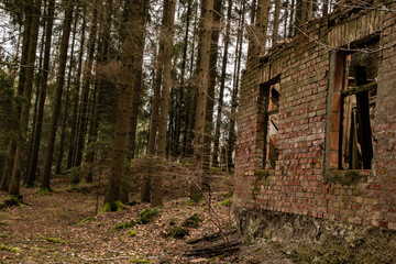 Old ruin of a small house in the forest