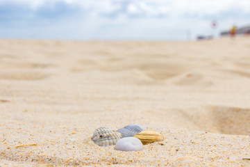 Beach of Tavira Island in Algarve (Portugal)