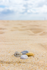 Beach of Tavira Island in Algarve (Portugal)