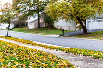 Northern Virginia, Fairfax county residential neighborhood in autumn with houses and paved road with nobody and many fallen autumn scenic yellow leaves foliage season - Powered by Adobe