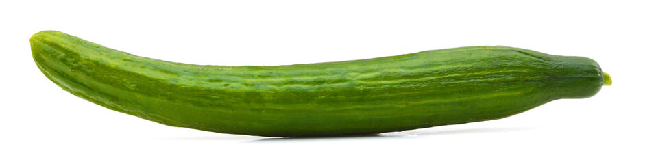 single cucumber isolated on white background