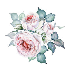 Watercolor Flowers. Roses Bouquet. White and Pink Roses. Floral illustration. Leaves and buds. Botanic composition for wedding or greeting cards or other projects