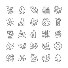 Fototapeta na wymiar Plants line icons. Mint leaf, Humidity thermometer and Growing plants icons. Bottle with mint water, Nature care, leaf on hand. Gardening new flower, environment, water drop and thermometer. Vector