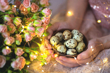 Quail eggs in a wooden plate in the hands of a girl on a pink background with golden lights and flowers - roses. Easter concept.
