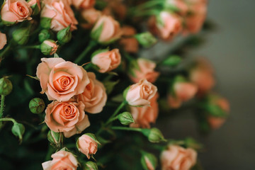 Bouquet of roses of coral color on a blue background. Trend of the year.