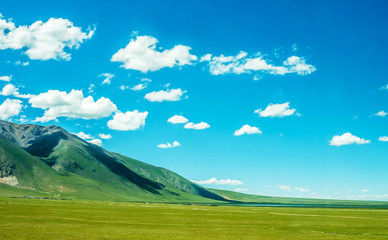 aqu Qiangtang Plateau Ranch Scenery, Tibet, China