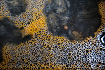 Geschirr absp&uuml;len bunte Blasen Alltagskunst