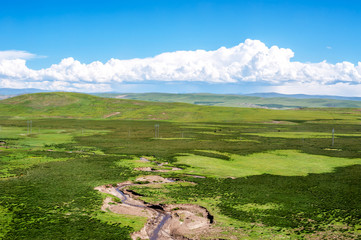 aqu Qiangtang Plateau Ranch Scenery, Tibet, China