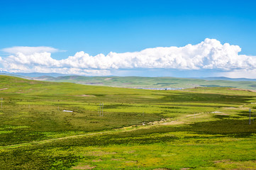 Fototapeta na wymiar aqu Qiangtang Plateau Ranch Scenery, Tibet, China
