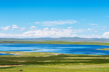 Sanjiangyuan Nature Reserve, the highest elevation natural wetland, Tibet, China