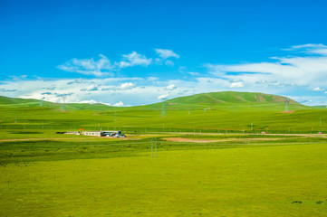 Naqu Qiangtang Plateau Ranch Scenery, Tibet, China