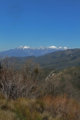 Mt Baldy