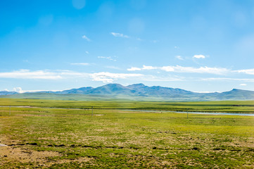 Naqu Qiangtang Plateau Ranch Scenery, Tibet, China