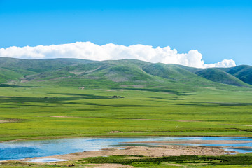 Naqu Qiangtang Plateau Ranch Scenery, Tibet, China