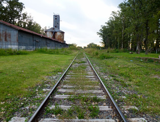 Fototapeta na wymiar the railway in the farmland