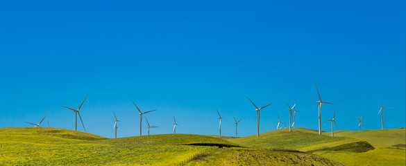 wind generator on a green hill near San Francisco