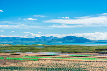 Sand fencing on the edge of Plateau lakes, Tibet, China