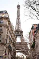 The Eiffel Tower viewed from a city street in Paris