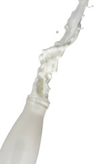 Droplets of Milk With Liquid Splashes Out Of The Bottle. Isolated Over White Background.