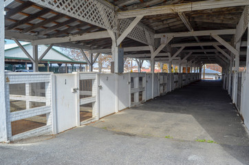 Row of white wooden animal stalls