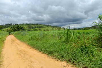 Obraz premium Estrada rural brasileira