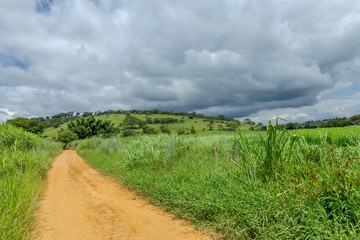 Fototapeta na wymiar Estrada rural brasileira