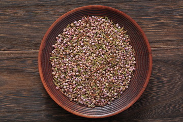 Heath image (herb)