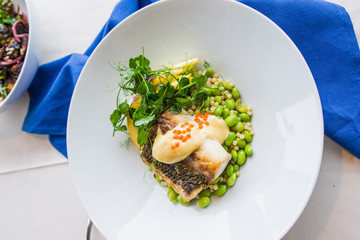 Grilled Trout with roe, pea shoots, edamame and sauce