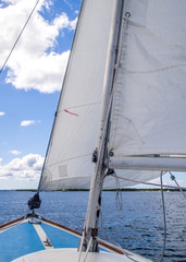 Obraz premium OLYMPUS DIGITAL CAMERA