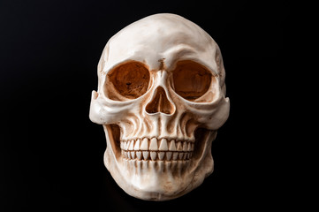 Death and the ephemeral nature of life concept theme with a front view portrait of a human skull isolated on black background with high contrast moody light and a clip path cut out