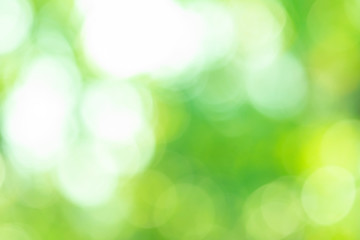 Obraz premium bokeh texture defocused lights